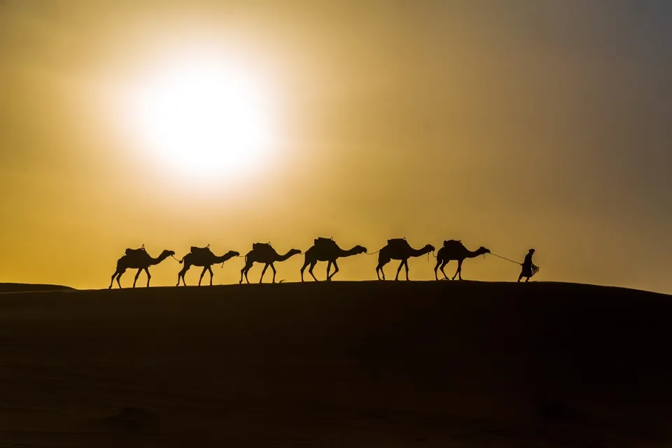 Zagora desert trip from Marrakech, 2 days (3)